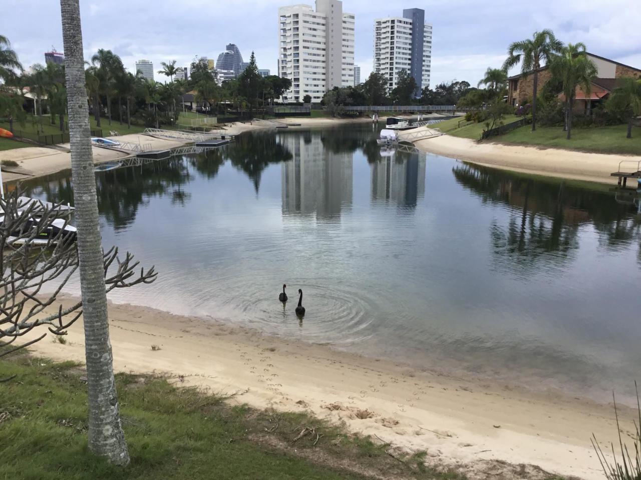 Hotel Plumosa On The Water Gold Coast Exterior foto